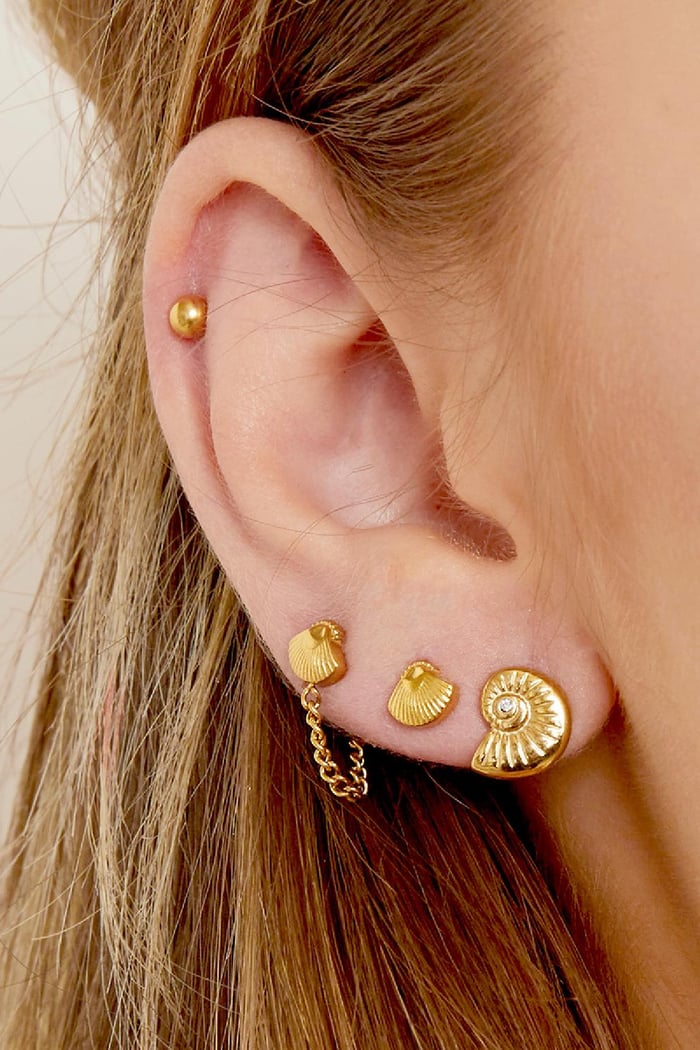 Boucles d'oreilles Twisted Shell Acier inoxydable h5Image2